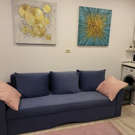 Downtown Apartment Boutique - Blue & Pink بوخارست المظهر الخارجي الصورة